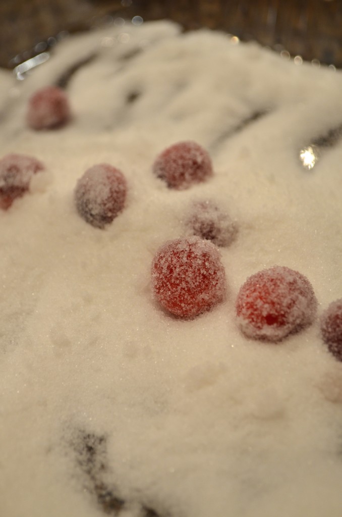 How to make Sugared Cranberries From Scratch With Maria Provenzano
