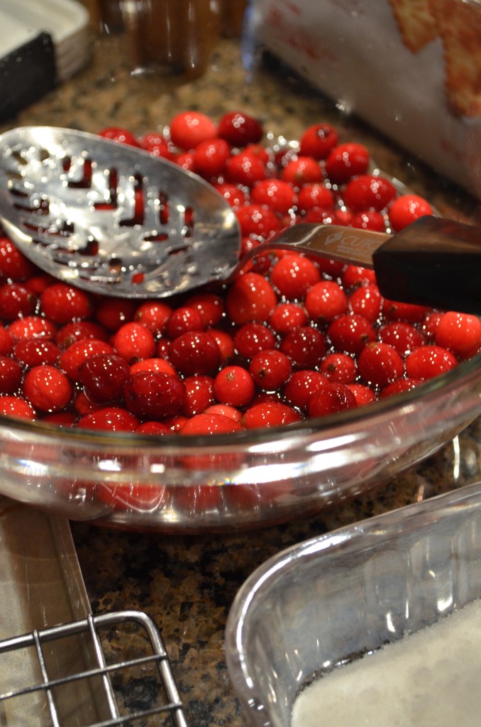 How to make Sugared Cranberries From Scratch With Maria Provenzano